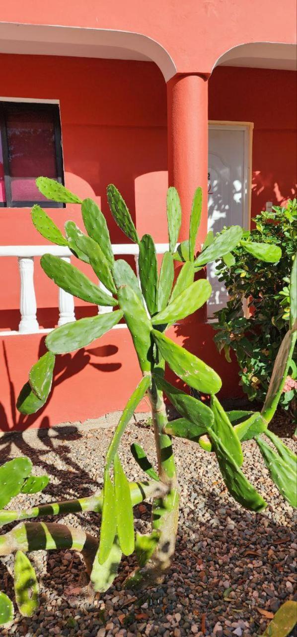 Villa Kiki Ensenada Punta Rucia Eksteriør bilde